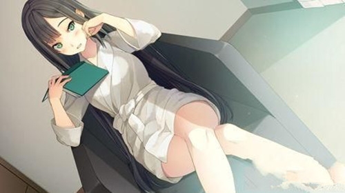 恋爱与选举与巧克力 中文版手游app截图