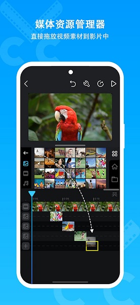 cutecut 中文版手机软件app截图