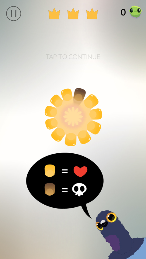 鸽子pop手游app截图