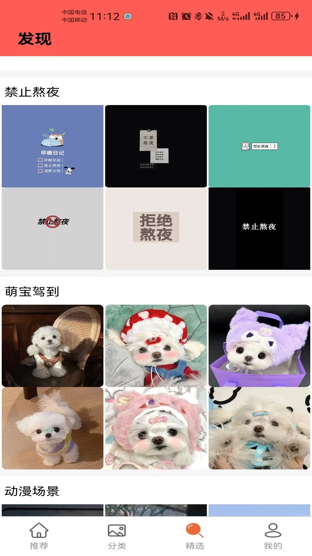 星球壁纸 2026最新版手机软件app截图