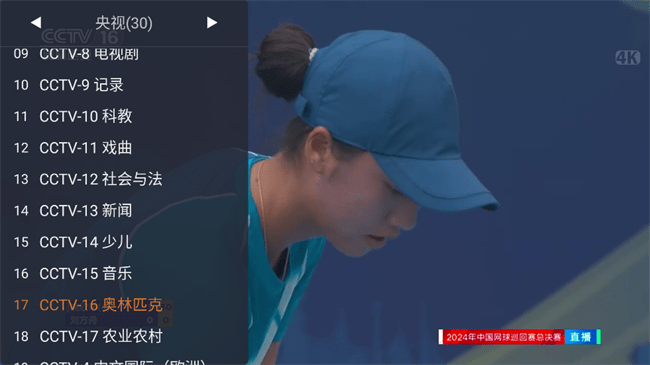 webview 电视tv版官网手机软件app截图