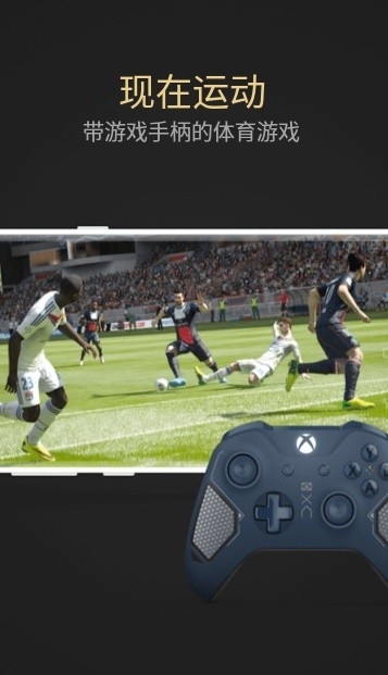 熊猫映射激活工具 中文版手机软件app截图