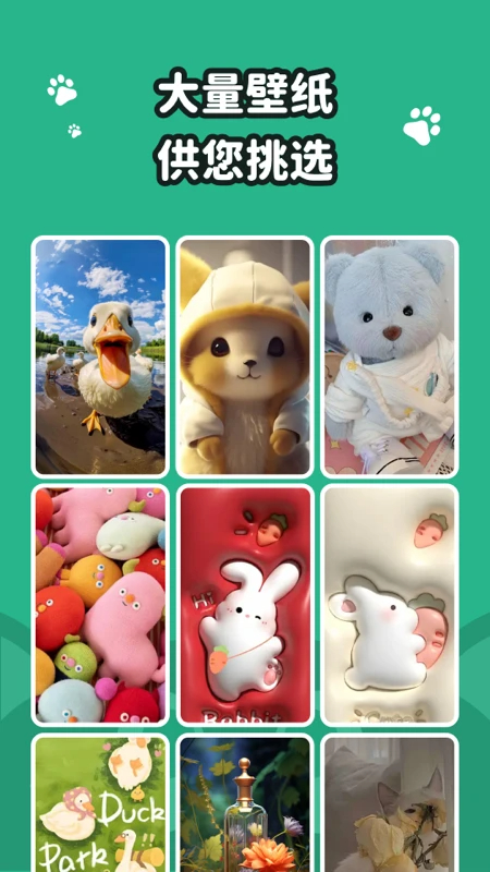 叮咚壁纸 2026最新版手机软件app截图