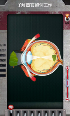 人体是如何运作的 手机版手游app截图