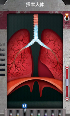 人体是如何运作的 安卓版手游app截图