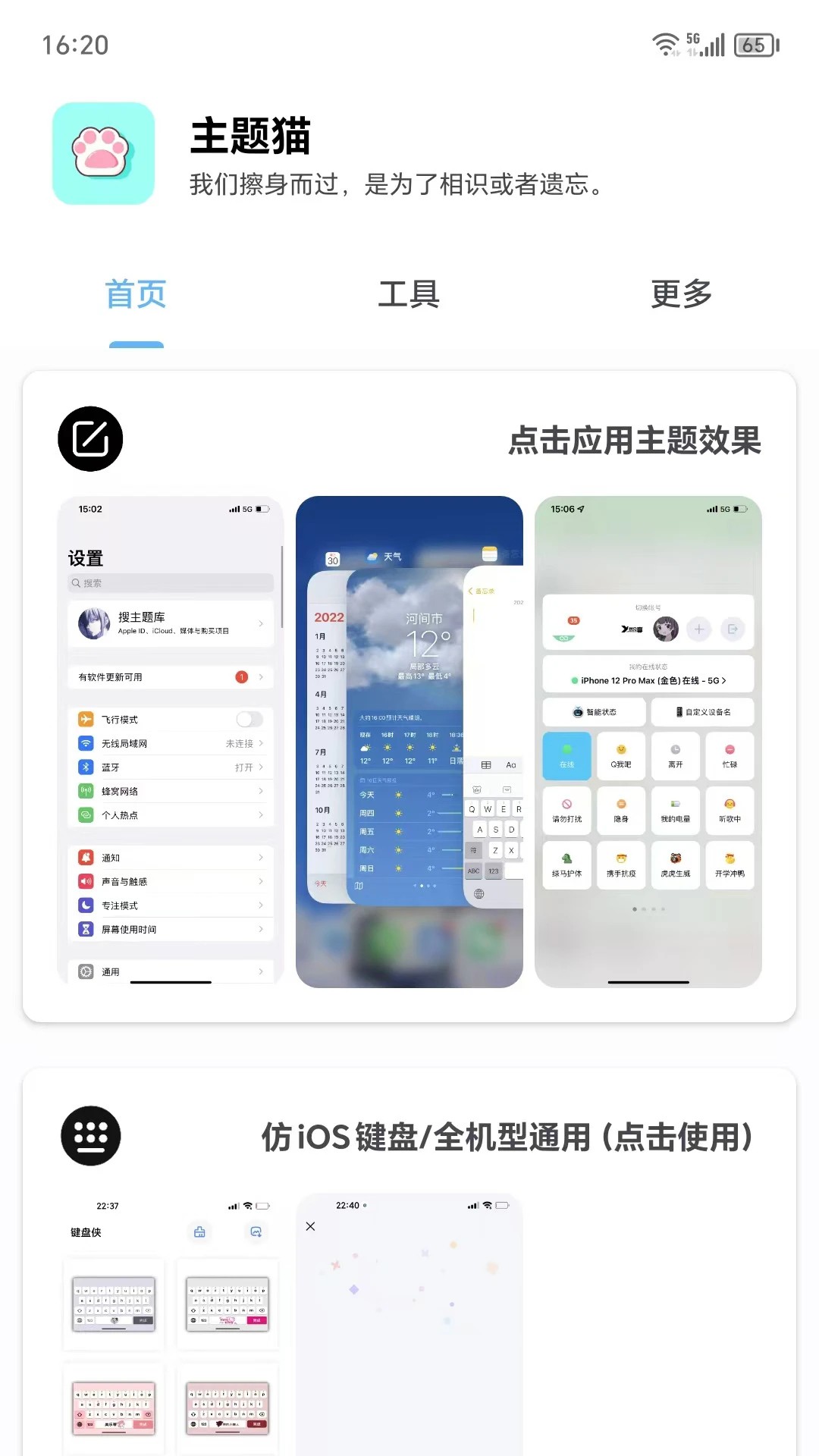 主题猫 2026最新版手机软件app截图