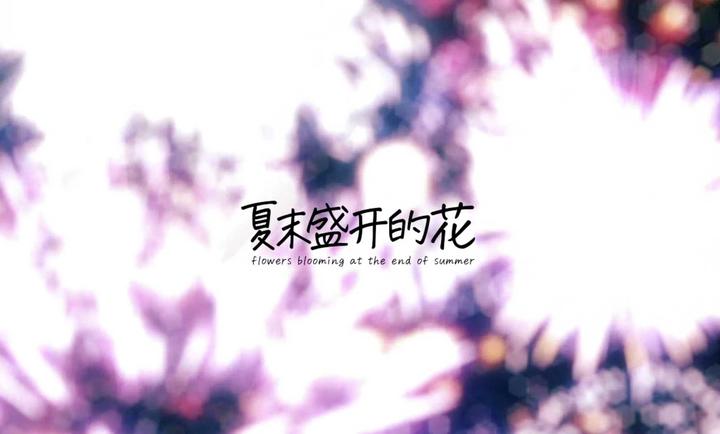 夏末盛开的花 galgame手游app截图