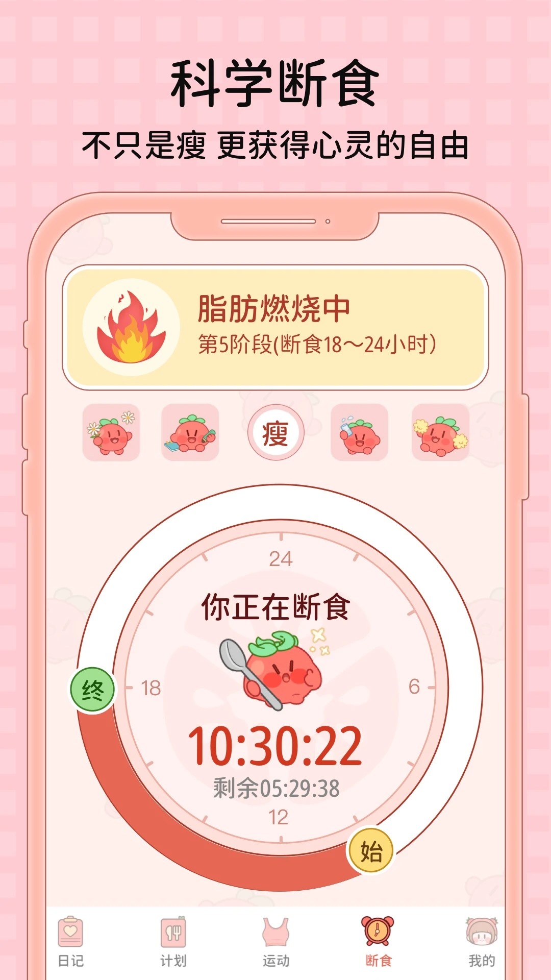 番茄闪轻 2026最新版手机软件app截图