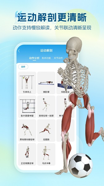维萨里3D解剖 官方正版手机软件app截图