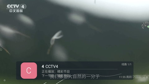 海燕直播 电视tv版手机软件app截图