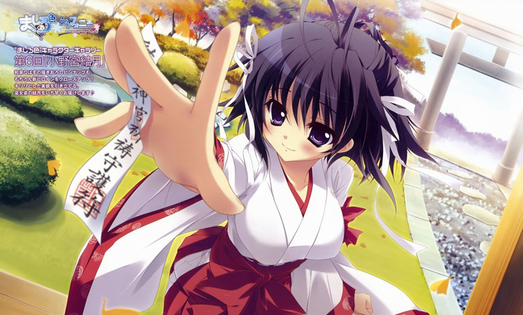 纯白交响曲 安卓手机版手游app截图