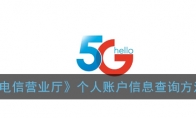 电信营业厅怎么查看户主姓名_个人账户信息查询方法_1ZP下载