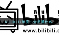 bilibili年度小会员是什么_bilibili年度小会员介绍_1ZP下载