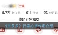 拼多多行家有什么用_拼多多行家心得是什么意思_1ZP下载