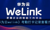 welink怎么看考勤记录_1ZP下载