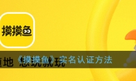 摸摸鱼怎么实名认证_摸摸鱼实名认证方法_1ZP下载