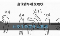 社交牛杂症什么意思_社交牛杂症梗含义介绍_1ZP下载