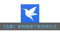 迅雷怎么复制链接_手机迅雷复制链接下载视频方法_1ZP下载