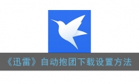 迅雷怎么设置抱团下载_手机迅雷自动抱团下载设置方法_1ZP下载