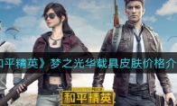 和平精英梦之光华载具皮肤价格介绍