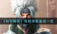 和平精英双棍侠客套装一览