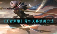 王者荣耀芳华天幕使用方法