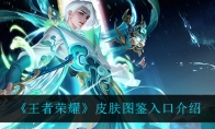 王者荣耀皮肤图鉴入口介绍