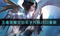 王者荣耀空白名字代码2022最新
