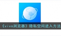 vivo瀏覽器隱私空間怎么打開