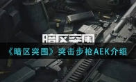 暗區(qū)突圍突擊步槍aek怎么樣