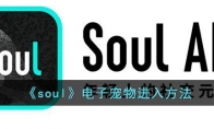 soul寵物在哪打開(kāi)