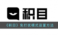 《积目》攻略——免打扰模式设置方法