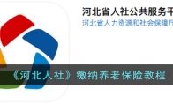 《河北人社》攻略——缴纳养老保险教程