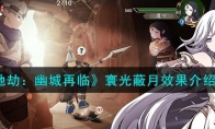 《天地劫：幽城再临》攻略——寰光蔽月效果解析