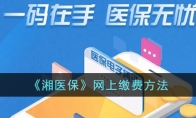 《湘医保》攻略——网上缴费方法