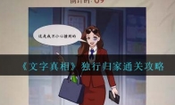 《文字真相》攻略——独行归家通关攻略