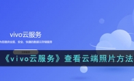 《vivo云服务》攻略——查看云端照片方法