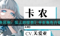 《宿命回响：弦上的叹息》攻略——卡农角色解析