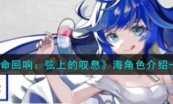《宿命回响：弦上的叹息》攻略——海角色解析