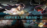 《纳萨力克之王》攻略——藏品介绍一览