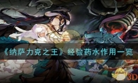 《纳萨力克之王》攻略——经验药水作用一览