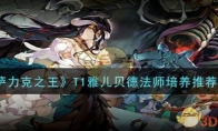 《纳萨力克之王》攻略——T1雅儿贝德法师培养推荐一览
