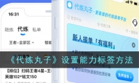 《代练丸子》攻略——设置能力标签方法