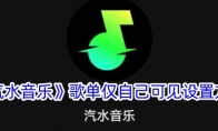 《汽水音乐》攻略——歌单仅自己可见设置方法