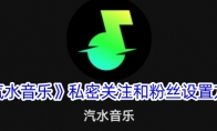 《汽水音乐》攻略——私密关注和粉丝设置方法