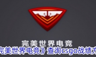 《完美世界电竞》攻略——查询csgo战绩方法