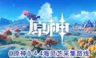 《原神》攻略——4.4海灵芝采集路线