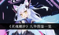 《灵魂潮汐》攻略——九华图鉴一览