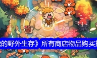 《我的野外生存》攻略——所有商店物品购买推荐
