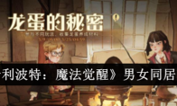 《哈利波特：魔法觉醒》攻略——男女同居攻略